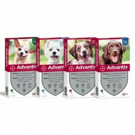 ADVANTIX® SOLUCIÓN SPOT-ON PAR