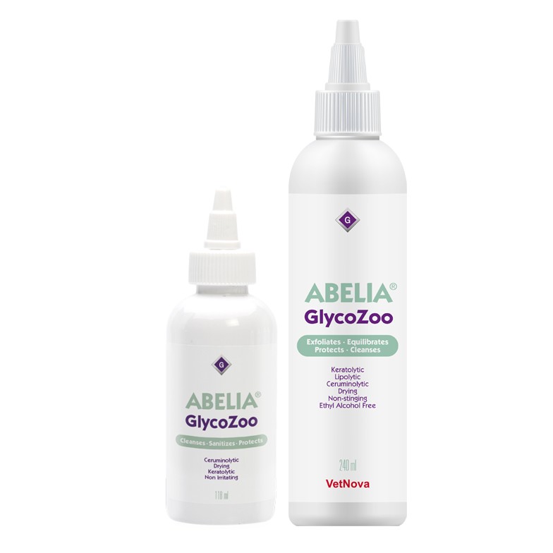 ABELIA GLYCOZOO BODEGON