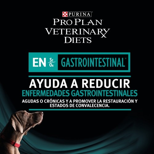 PERRO SECO EN GASTRO
