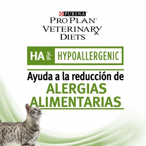 GATO SECO HIPOALERGENICO