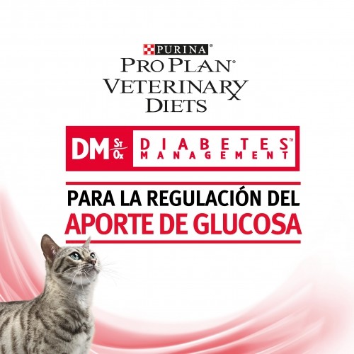GATO SECO DIABETES