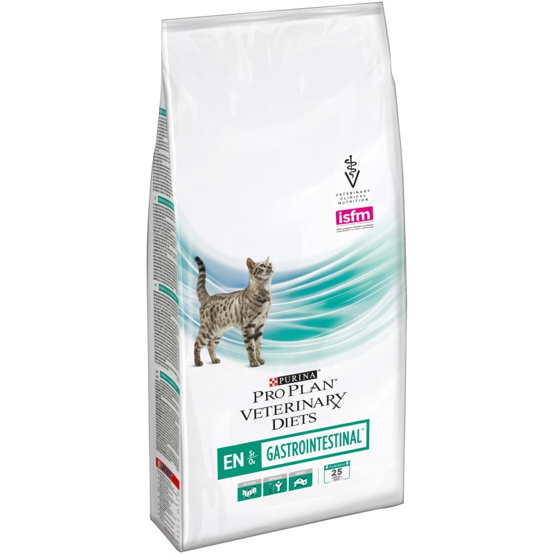 GATO SECO EN GASTRO