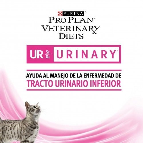 GATO HUMEDO URINARIO