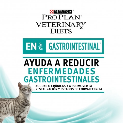 GATO HUMEDO GASTRO