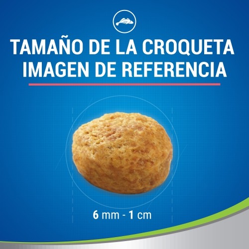 DETALIFE GATO SALMON