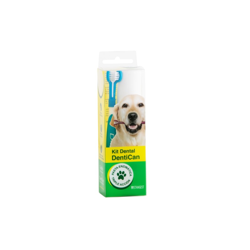 KIT DENTAL