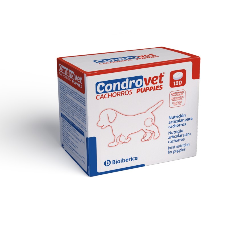 CONDROVET CACHORROS