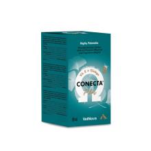 CONECTA PLUS